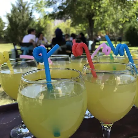 Uluirmak Uygulama Oteli Hotel