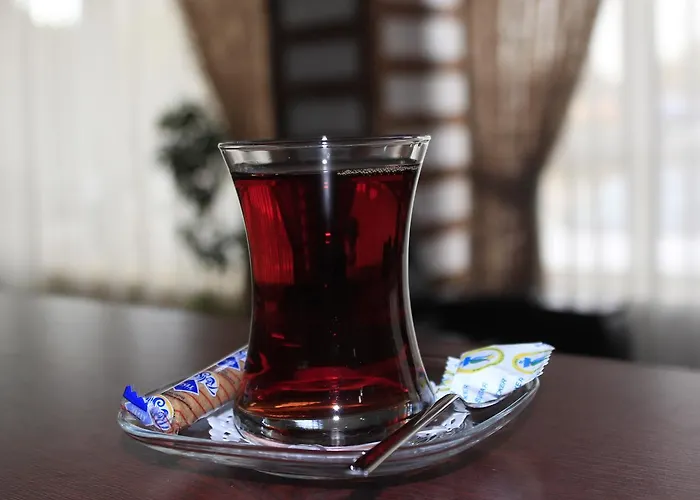 Uluirmak Uygulama Oteli Askaray