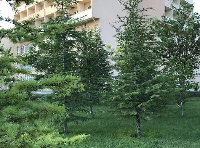 Uluirmak Uygulama Oteli Hotel Askaray