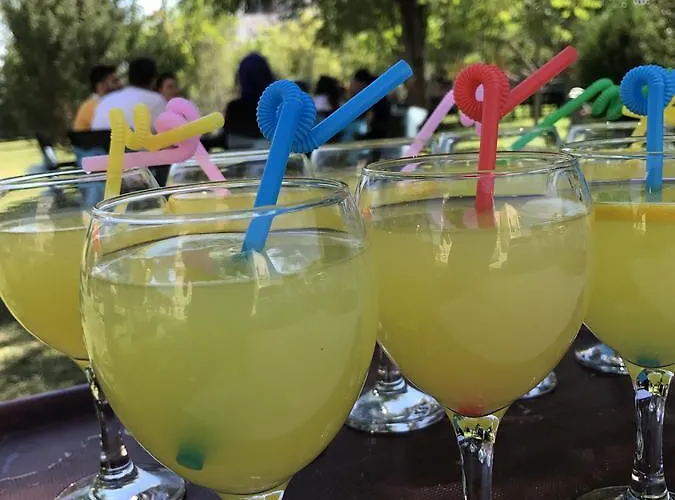 Hotel Uluirmak Uygulama Oteli *